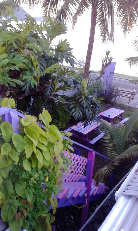 Somewhere Special Guesthouse Gros Islet Exterior foto