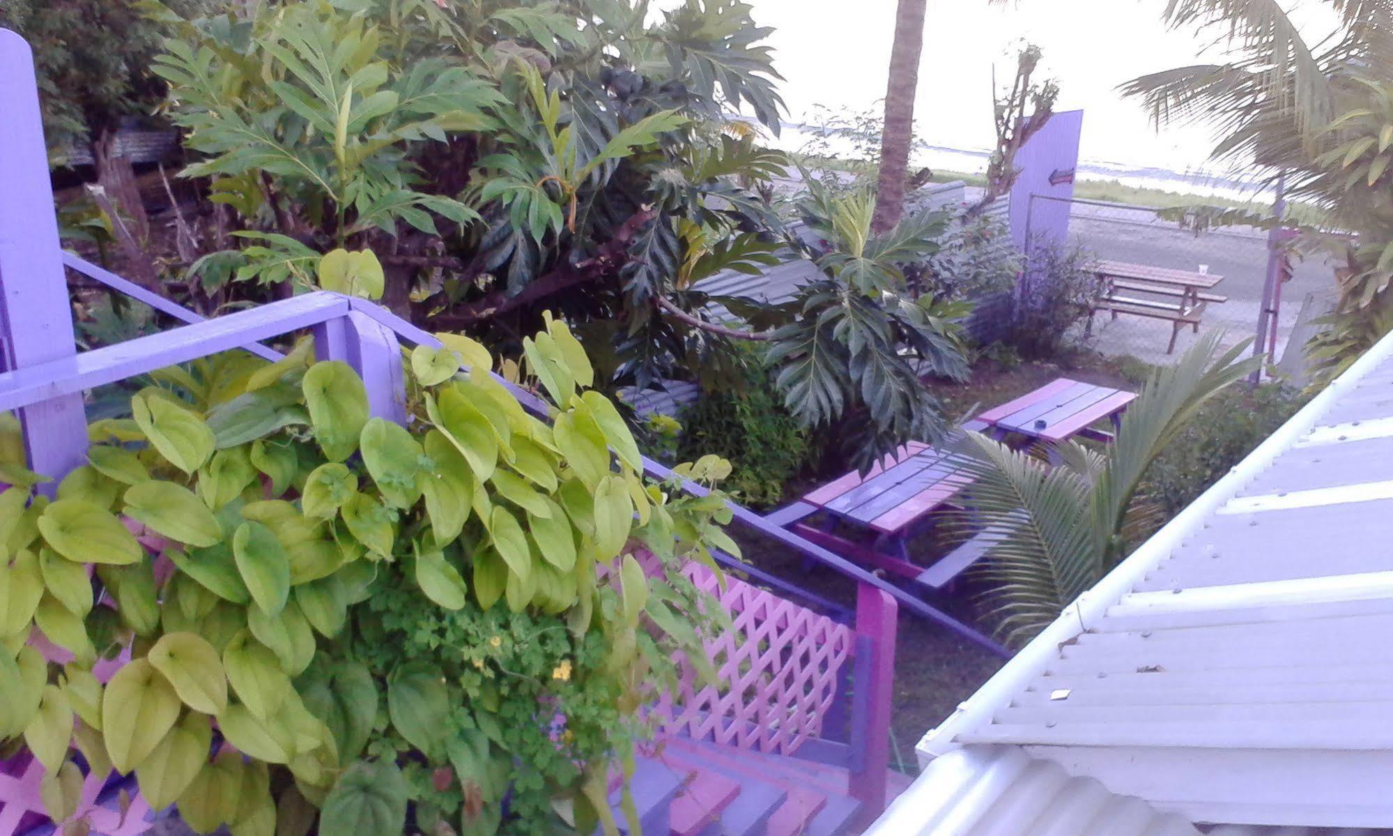 Somewhere Special Guesthouse Gros Islet Exterior foto
